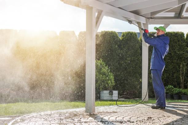 Best Roof Washing  in New Port Richey, FL