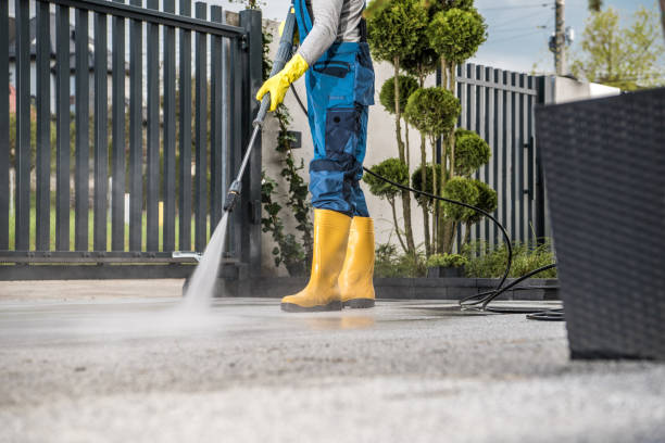 Best Solar Panel Cleaning  in New Port Richey, FL